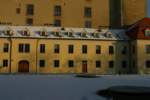 Photo Number 5